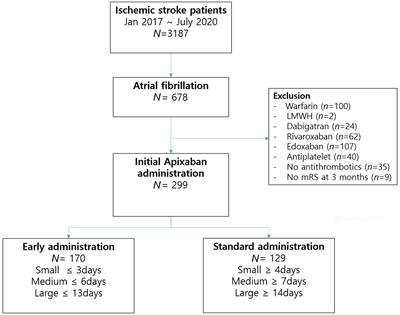 Early apixaban administration considering the size of infarction and functional outcome in acute ischemic stroke